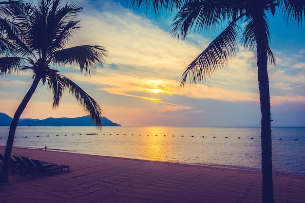 Bellissima spiaggia e mare con palme