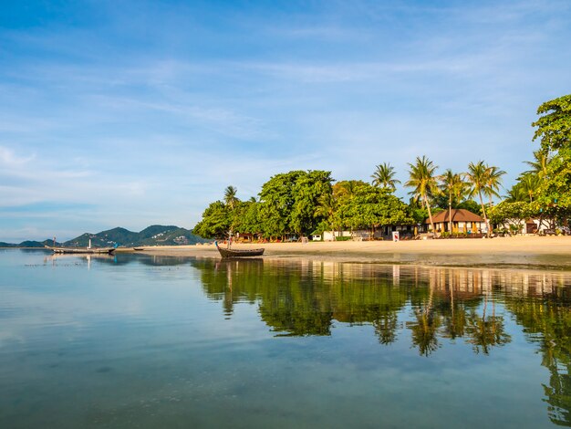 Bellissima spiaggia tropicale e mare con palme da cocco