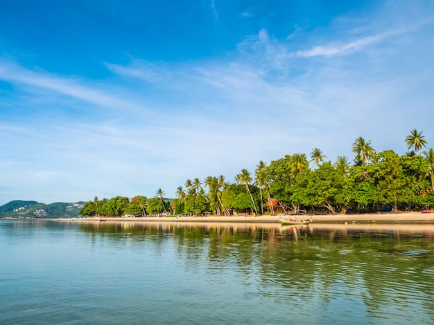 Bellissima spiaggia tropicale e mare con palme da cocco