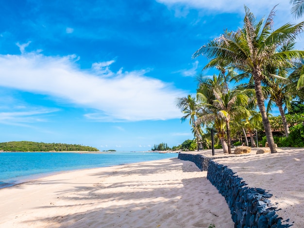 Bellissima spiaggia tropicale e mare con palme da cocco