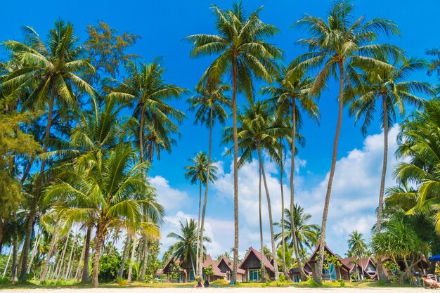 Bellissima spiaggia tropicale e mare