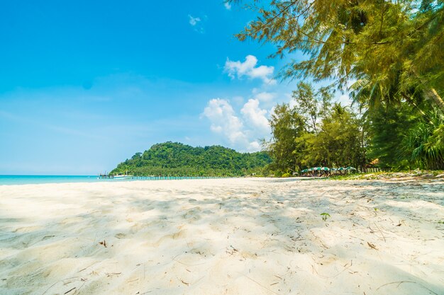 Bellissima spiaggia tropicale e mare