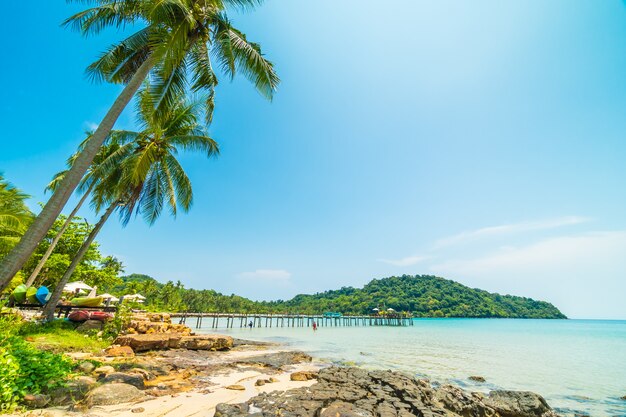 Bellissima spiaggia tropicale e mare