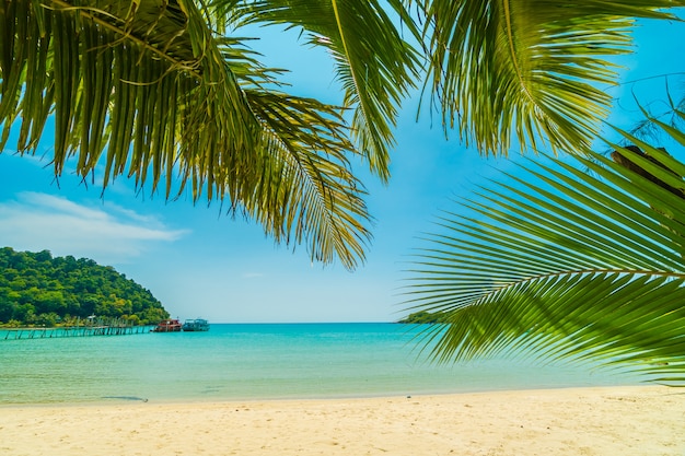 Bellissima spiaggia tropicale e mare