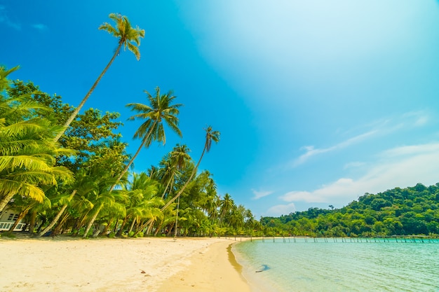 Bellissima spiaggia tropicale e mare