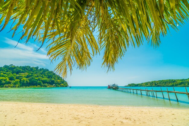 Bellissima spiaggia tropicale e mare