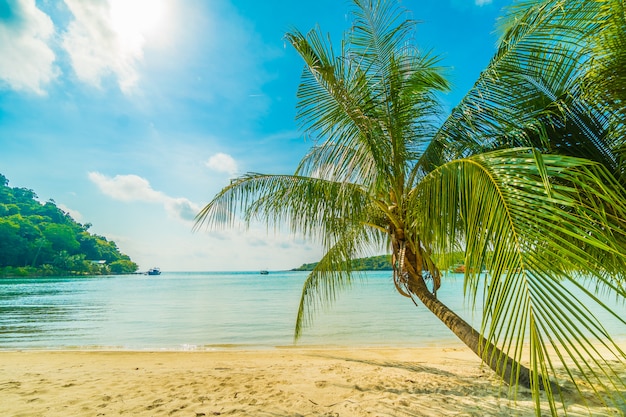 Bellissima spiaggia tropicale e mare