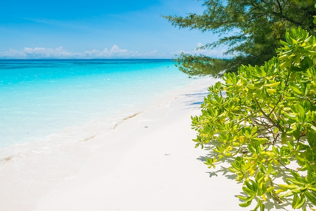 Bellissima spiaggia tropicale