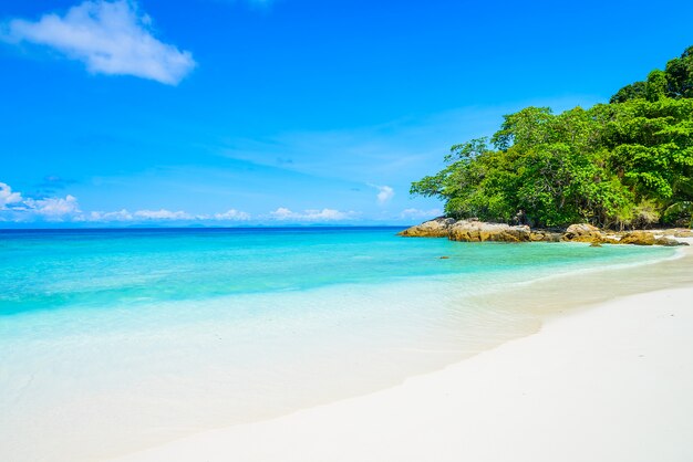 Bellissima spiaggia tropicale