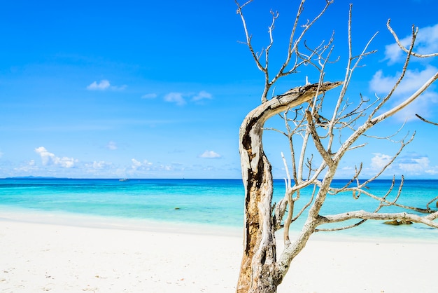 Bellissima spiaggia tropicale