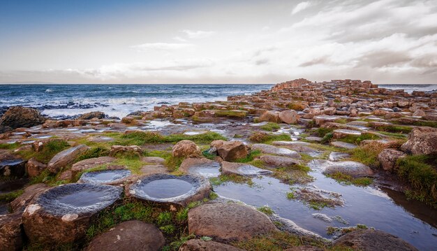 Bellissime e strane rocce sulla spiaggia con il riflesso del cielo sugli scogli