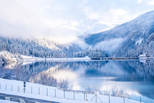 Bellissimi alberi nel paesaggio invernale al mattino presto in caso di nevicate