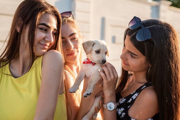 Bellissimi amici che giocano con un simpatico cane