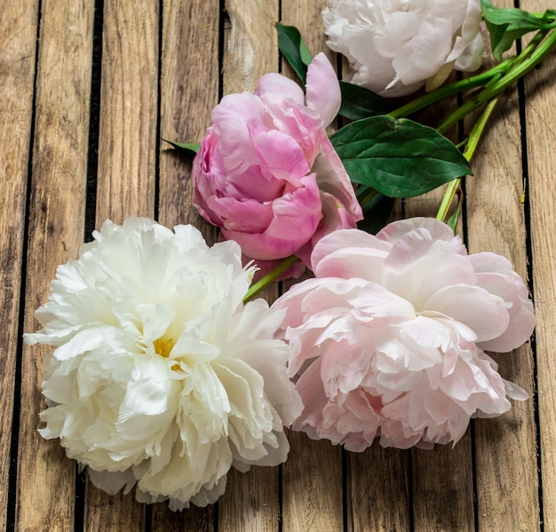 bellissimi fiori freschi su fondo in legno, fiori vari, posto per il testo, primo piano