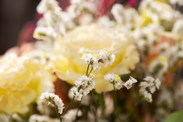 Bellissimi fiori sfocati ad alto angolo