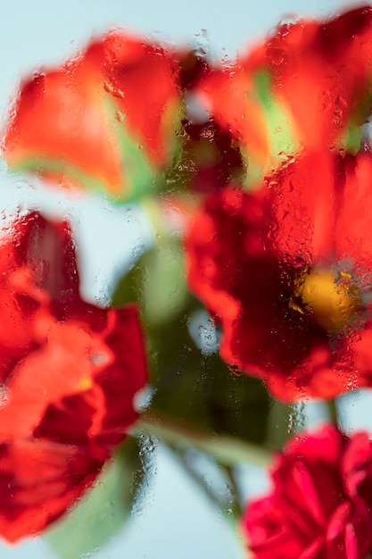 Bellissimi fiori visti dietro il vetro di umidità