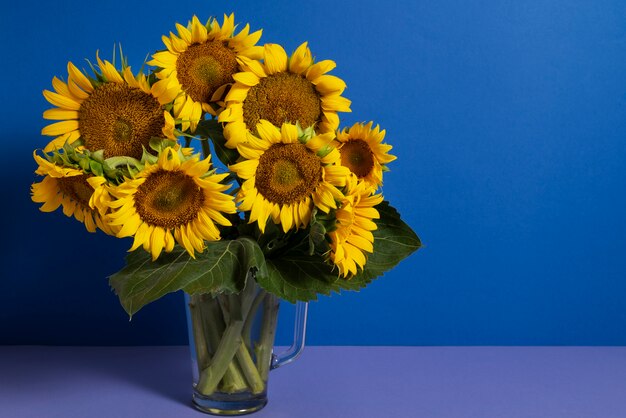 Bellissimi girasoli in studio ancora in vita