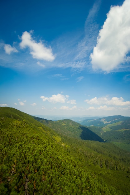 Bellissimi prati sulle montagne