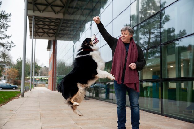 Bellissimo addestramento del cane border collie con il proprietario