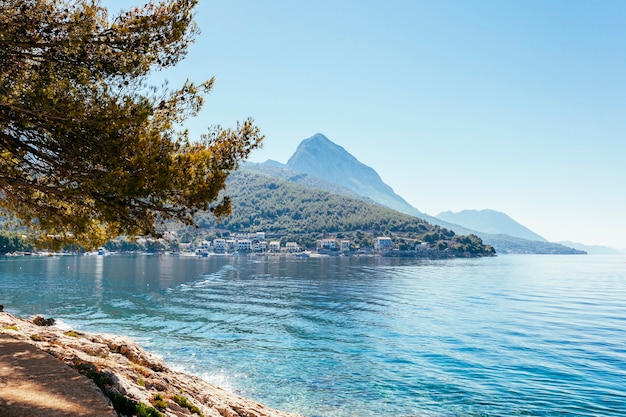 Bellissimo ancora lago con alberi e montagna