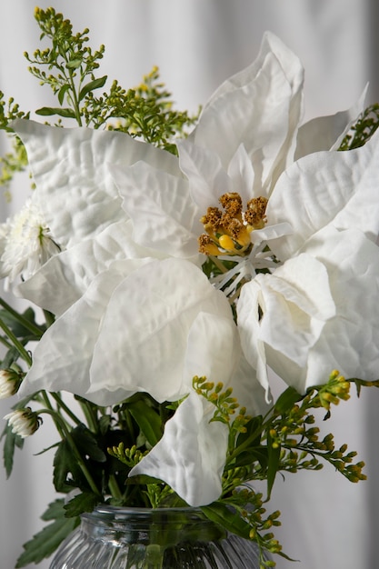 Bellissimo arrangiamento di poinsettia bianca