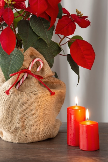 Bellissimo arrangiamento di poinsettia rossa