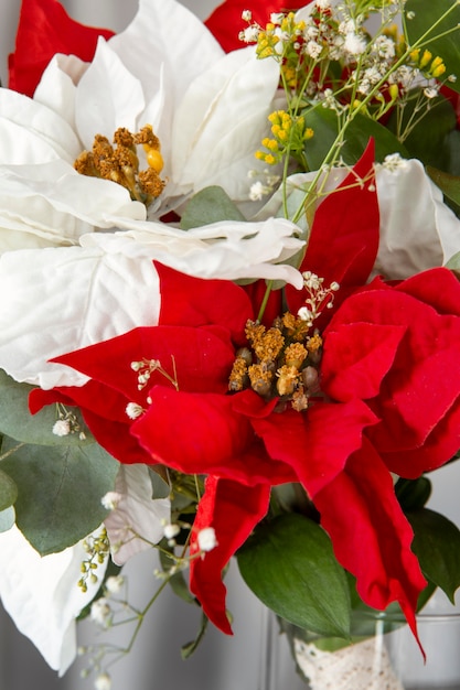 Bellissimo assortimento di stelle di Natale rosse e bianche