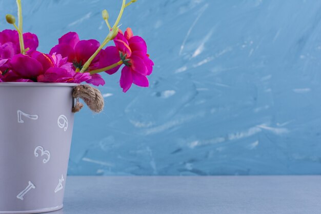 Bellissimo bouquet di fiori viola freschi sul blu.