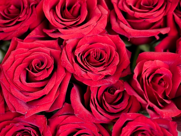 Bellissimo bouquet di rose rosse luminose