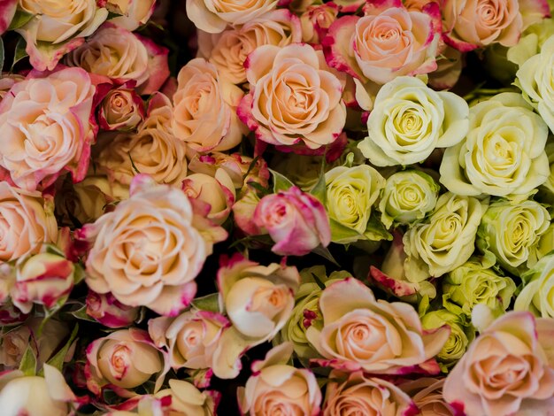 Bellissimo bouquet di rose