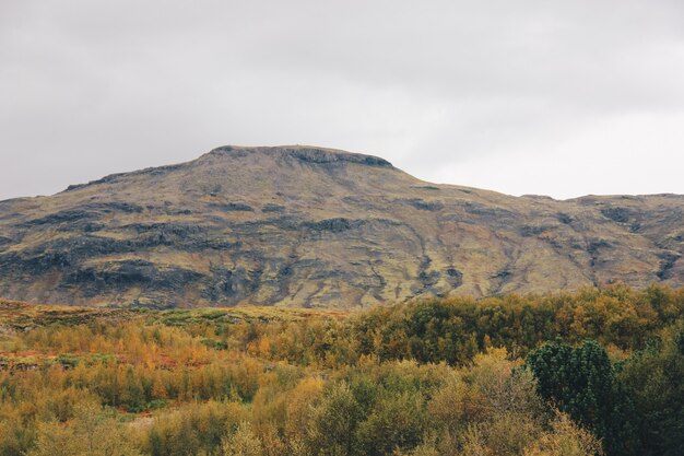 Bellissimo campo con alte montagne e colline