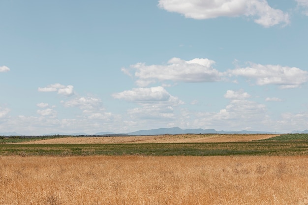 Bellissimo campo di fieno in campagna