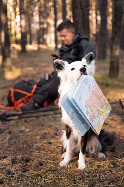 Bellissimo cane bianco e nero che tiene una mappa