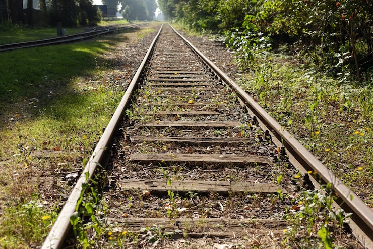 Foto gratuito bellissimo colpo di binari del treno ricoperti di erba durante il giorno