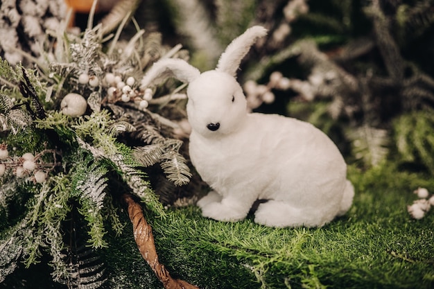 Bellissimo coniglietto bianco vicino a un albero con molti altri alberi sullo sfondo