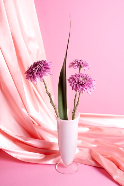 Bellissimo crisantemo in vaso rosa