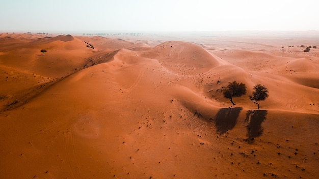 Bellissimo deserto con dune di sabbia in una giornata di sole