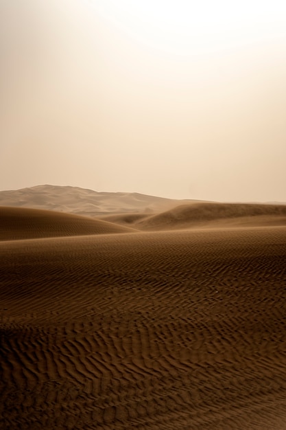 Bellissimo e caldo paesaggio desertico