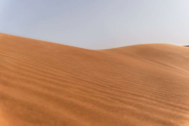 Bellissimo e caldo paesaggio desertico