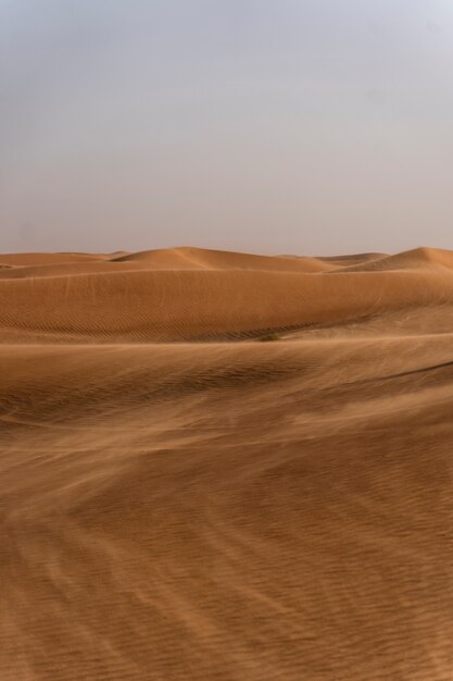 Bellissimo e caldo paesaggio desertico