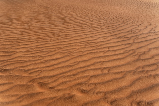 Bellissimo e caldo paesaggio desertico