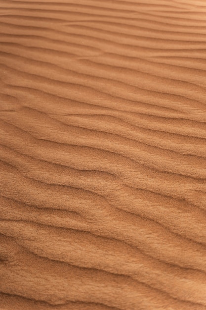 Bellissimo e caldo paesaggio desertico