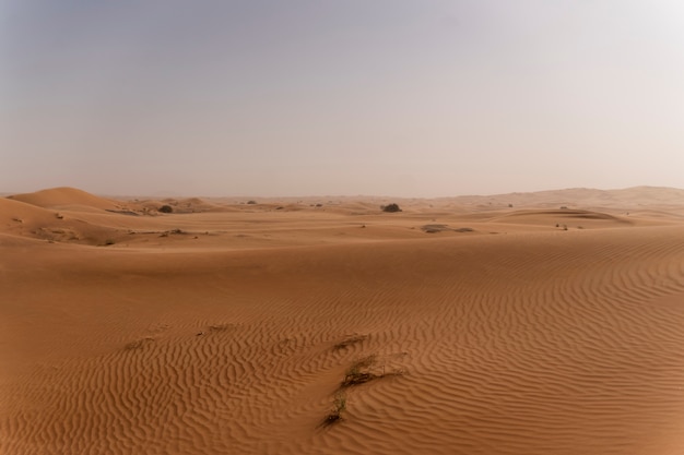 Bellissimo e caldo paesaggio desertico