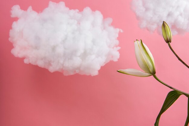 Bellissimo fiore e sfondo rosa