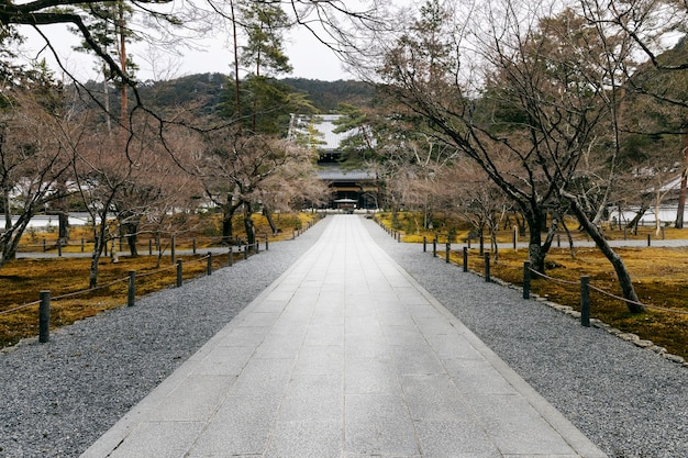 Bellissimo giardino giapponese