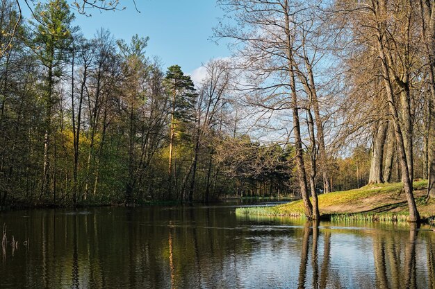 Bellissimo lago primaverile in un parco forestale pubblico Primavera prima serata giornata di sole cielo blu con nuvole Natura settentrionale inizio primavera Idea banner