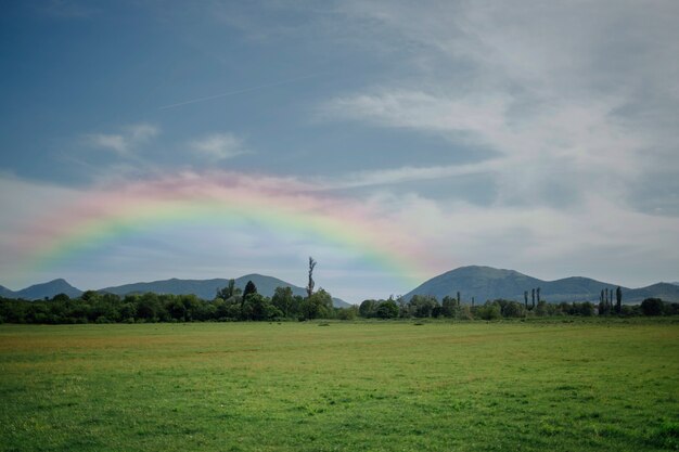 Bellissimo paesaggio con arcobaleno e prato