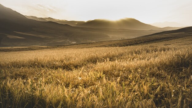 Bellissimo paesaggio con campi e montagne al tramonto panoramico