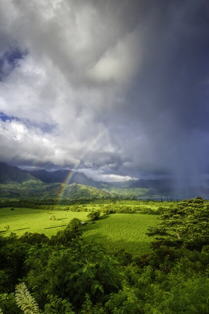 Bellissimo paesaggio con erba verde e la vista mozzafiato dell'arcobaleno tra le nuvole temporalesche