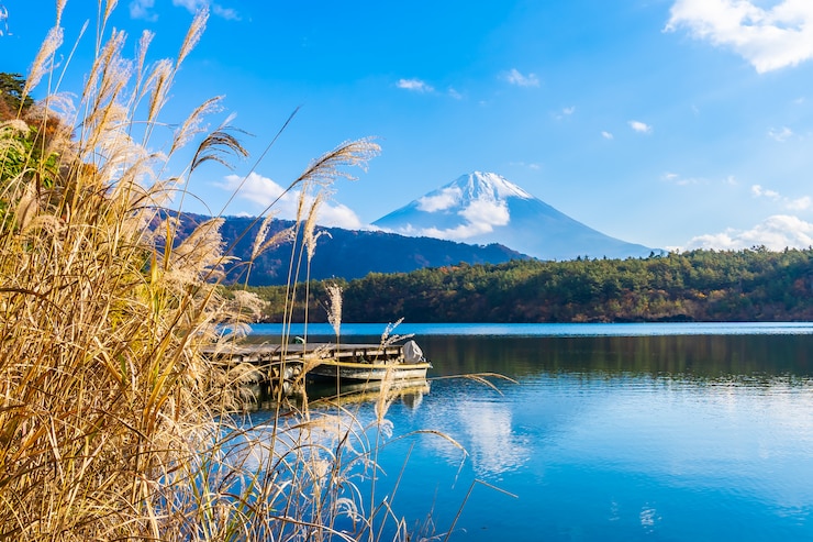 Foto gratuito bellissimo paesaggio del monte fuji